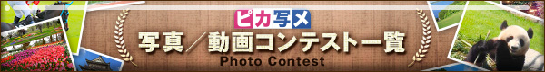 ピカ写メ写真コンテスト一覧