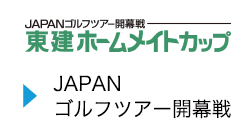 東建ホームメイトカップ
