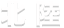 北陸