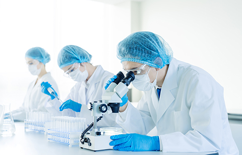 製薬の研究