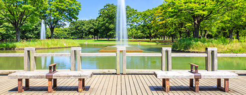 公園・庭園／緑地公園